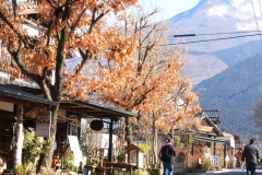 湯布院／湯坪街道