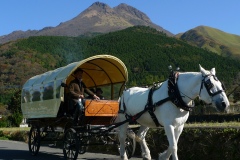 湯布院／観光辻馬車